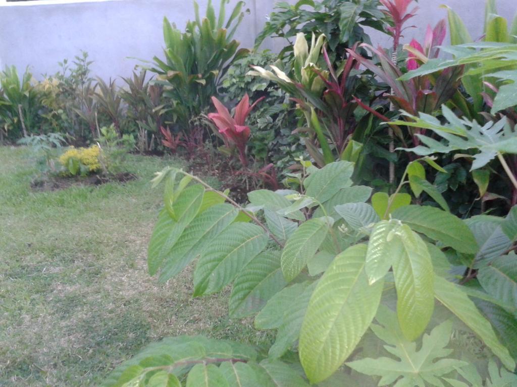 Dayspring Lodge Nuku'alofa Dış mekan fotoğraf