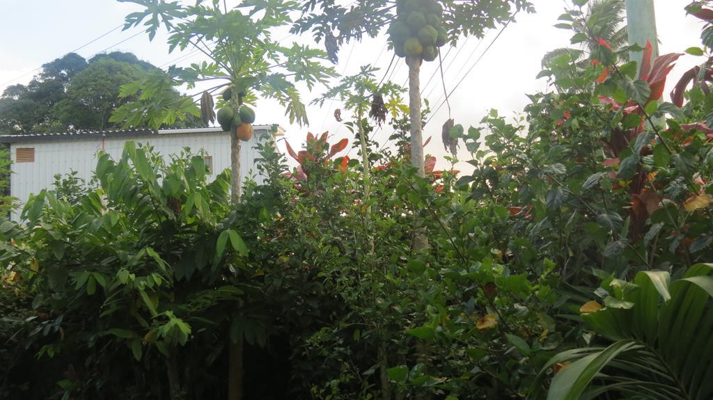 Dayspring Lodge Nuku'alofa Dış mekan fotoğraf