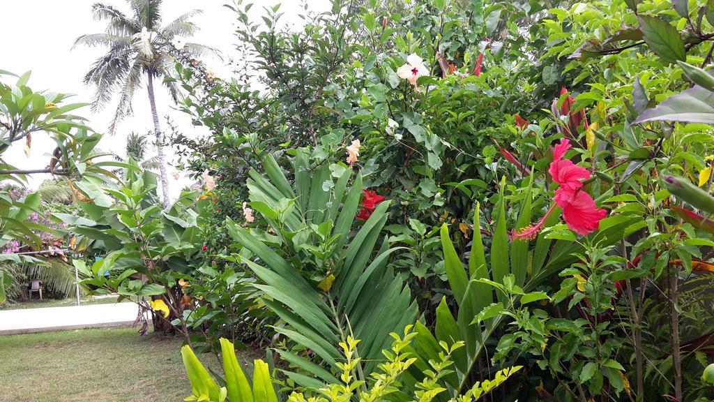 Dayspring Lodge Nuku'alofa Dış mekan fotoğraf
