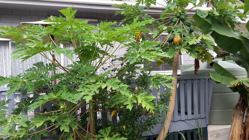 Dayspring Lodge Nuku'alofa Dış mekan fotoğraf