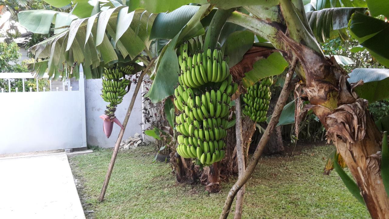 Dayspring Lodge Nuku'alofa Dış mekan fotoğraf